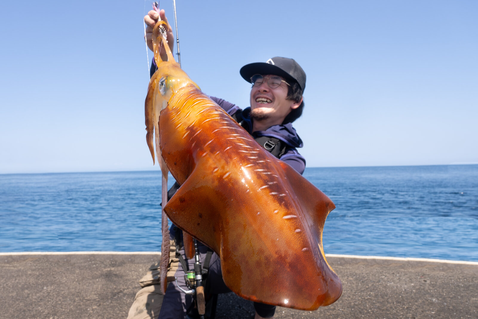 堤防でのエギング釣果